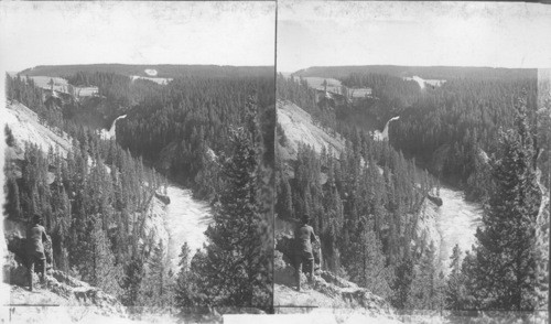 From Point Lookout Down Canyon to River 1200 ft. below, Yellowstone National Park. Wyo