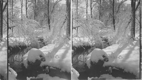 Winter Scene - Apr. 9, 1957. Reynolds Estate. Terrace St. Meadville, Pa