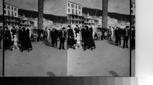 Funchal Harbor, Madeira