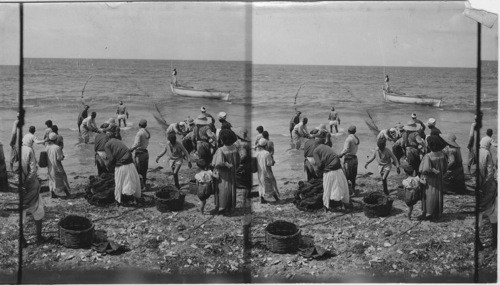 Fishermen, Alexandria, Egypt