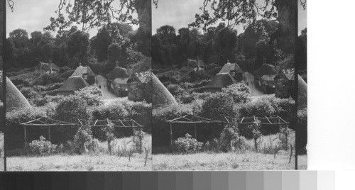 Down on the thatched roof tops of Cocklington, England