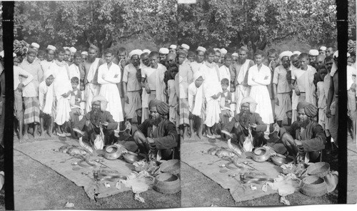 Street showmen exhibiting superbly handsome snakes before an admiring crowd. Calcutta, India