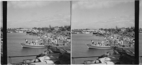 Fishing boats in Honolulu ready for a days work