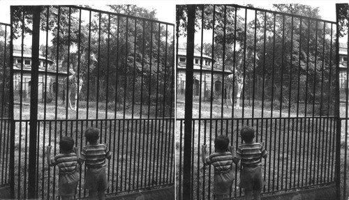 Children at the Zoo, Bronx Park (?), New York City. Dunn N.Y.C