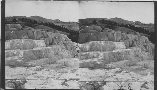 Minerva Terrace, Yellowstone National Park