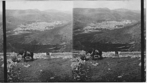 S.W. from Ebal over Shechem, Palestine