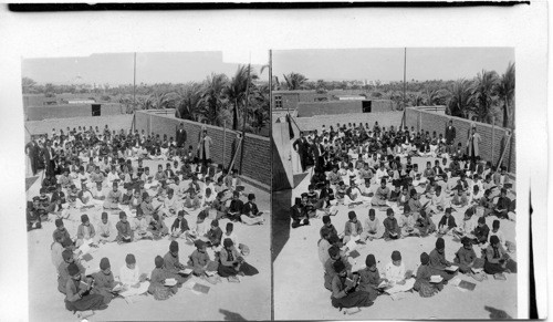 Boys studying- American Mission - Assiut. Egypt