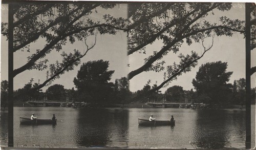 Scene in Public Gardens, Boston, Mass