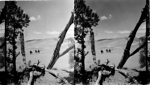 Great Sand Dunes, Natl. Monument, Colorado. [8-29-51] c. Lowe -Earth Sci