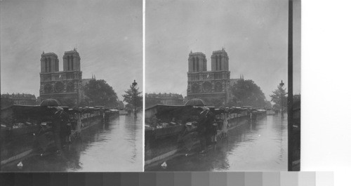 Notre Dame, Paris