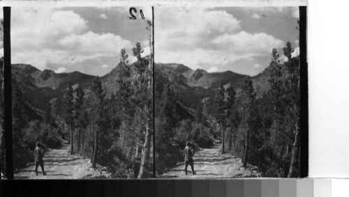 On the Leevining Canyon road to Mono Lake-N. West. Tioga Peak at left (11532ft) & Lundy Crest of Mountains at right, Calif. You like better 47794, yet I think the light on the mountain is better in 47793