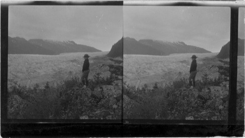 Mendenhall Glacier, Juneau, Alaska