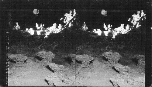 A close view of the lily pads, one of the many strange formations in the big room, Carlsbad Caverns National Park, New Mexico