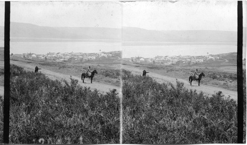 Scene in Palestine