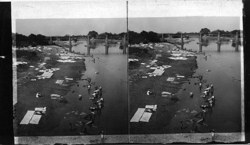 Industrious dhobies (washermen) at work in river, W. from Lucknow, India