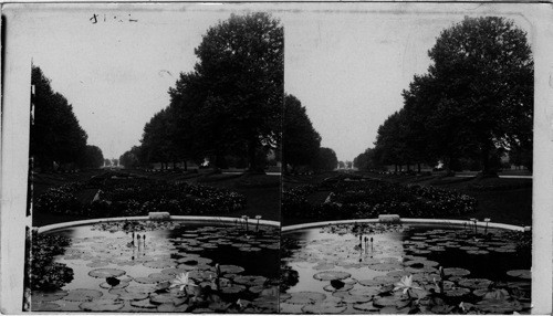 Lily Pond and Sunken Garden. Philadelphia, Penna