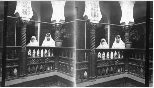 Young Girls of Algiers, Algeria