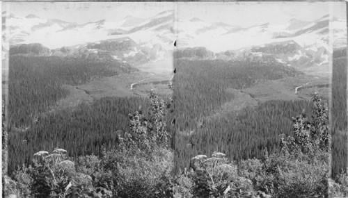 Probably Glacier National Park