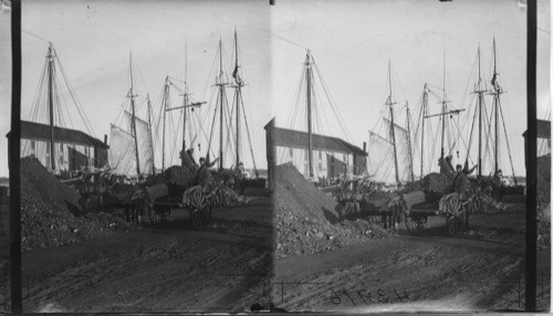 Unloading coal from schooner and hauling it to houses in two wheel carts, Charlottetown, P.E.I