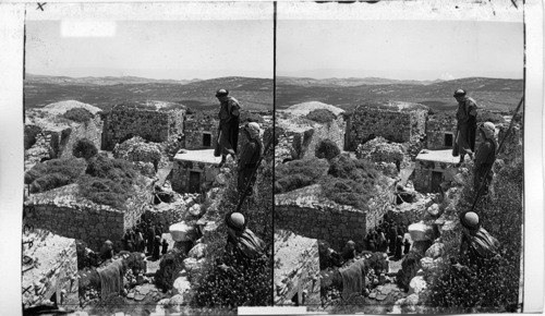 From a Housetop at Ramah, Traditional Home of Samuel. North West toward Gilead. Palestine. Asia