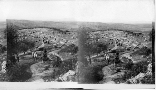 The Road from Samaria to Jenin, near Dothan, Palestine