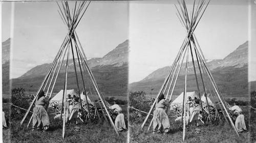 Indians arriving and erecting Teepees Blackfoot Indian women building a Teepee. Glacier National Park. Montana