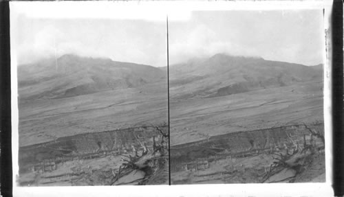 Mt. Pelee and steam from the crater