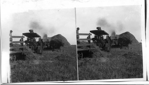 From Flail to Steam Thresher, Manitoba, Canada