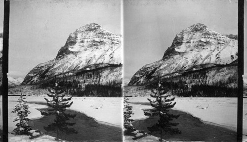 Mount Stephen and the Kicking Horse River Near Field, B.C. Canada