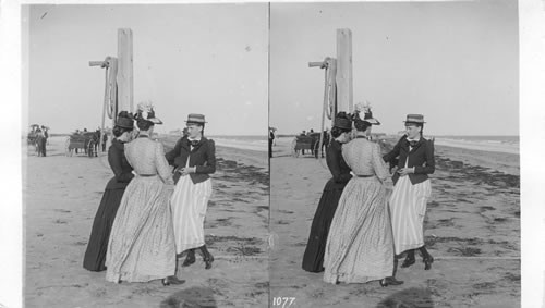 Scene on the Beach, Coney Island, N.Y