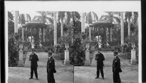 Tropical luxuriance of the botanical gardens, favorite pleasure resort of Lima, Peru