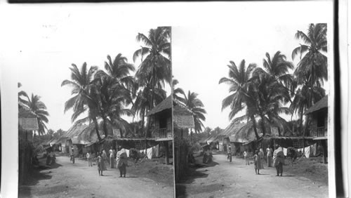 Feathery palms and cottage homes at San Nicholas, Cebu. Philippine Islands