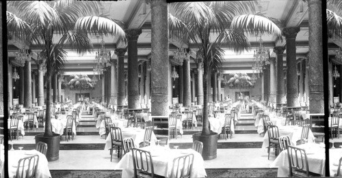 Dining Room - Drake Hotel, Chicago, Ill