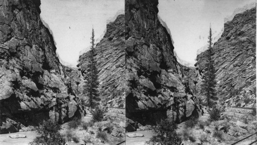 "Lone Pine", A Graceful landmark in the heart of Clear Creek Canyon, Colorado. OK Destroyed by Brigandi 10/29/86 RM]