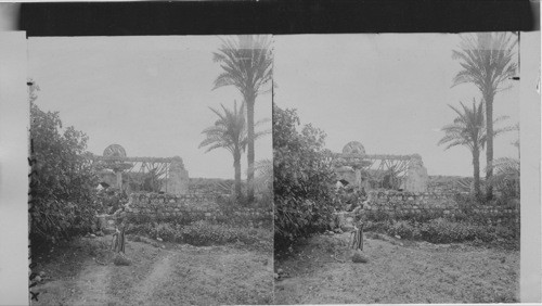 Old wells in the Plain of Sharon, Lydda, Palestine