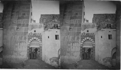 Entrance and Steps to the Harem, Hebron. Palestine