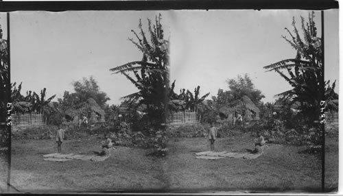 The site where many of the Astor Battery fell. August 13th 1899, Manila, Philippine Islands