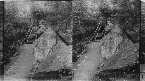 Foot Path in Niagara Glen Below the Falls. Niagara. Ont