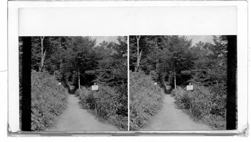 The (Appalachian) Appalachian Trail which runs along the crest of the (Appalachian) Appalachian System from Maine to Georgia, (Great) Big Smoky Mts. N. Carolina