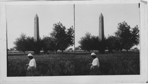 The Obelisk at Heliopolis near Cairo Looking N. W