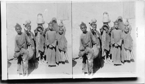 Arab children and their pet. Egypt