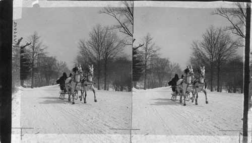 Sleighing in Central Park. N.Y