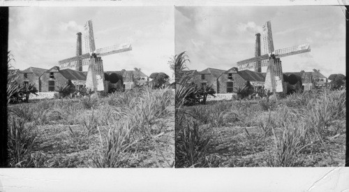 BRITISH WEST INDIES. Island of Barbados: On the southern end of Barbados stand the only old-type sugar mill with its wooden fans still intact and in use. Behind it is one of the many small sugar factories in operation around the island. Sawders, 1949. Substitute for 20570