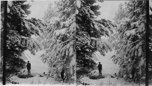 In the Gallatin Mountains - Boardman's hunt in Montana