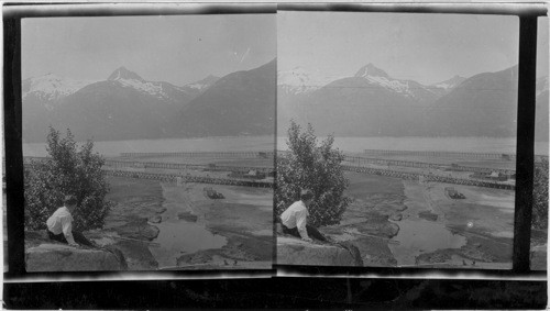 Harbor & Wharves at Skagway, Alaska