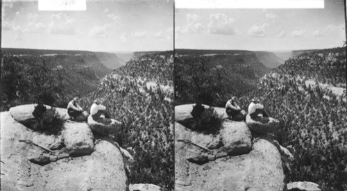 A canyon where the ancient cliff dwellers lived (S.), Mesa Verde Natl. Park, Colorado