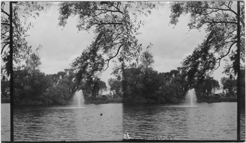 Fountain Lagoon,Washington Park, Chicago, Ill