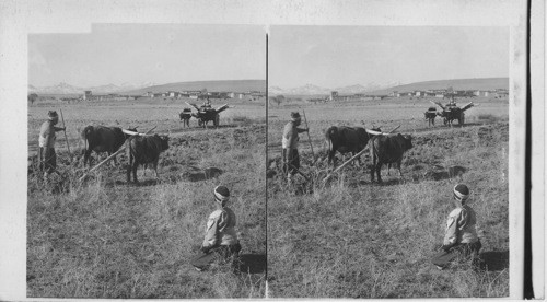 Primitive farming at village near Lystra’s old site, Biblical Asia Minor