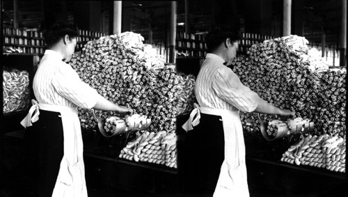 Weighing and Sorting Raw Silk Skins. S. Manchester, Conn