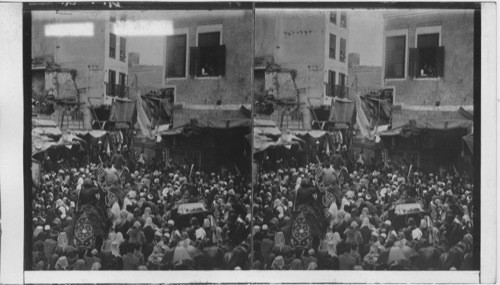 The Holy Carpet parade with the Mahmal, Before departure of the Pilgrims for Mecca - Cairo, Egypt